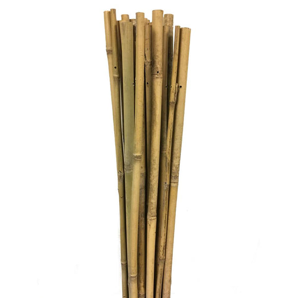 Bamboo Products