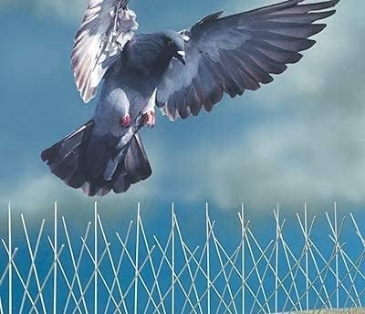 Egardenkart Stainless Steel Bird Spikes for Pigeons and Other Small Birds - No Plastic - Pre-Assembled 50 Centimetre