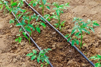 Egardenkart Premium Polyethylene Garden Irrigation Tubing Kit with Connectors - Efficient Watering Solution for Your Garden 5 meters