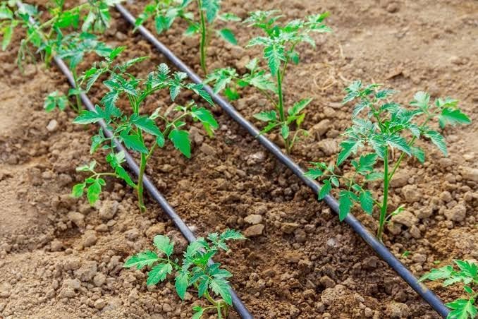 Egardenkart Premium Polyethylene Garden Irrigation Tubing Kit with Connectors - Efficient Watering Solution for Your Garden 5 meters