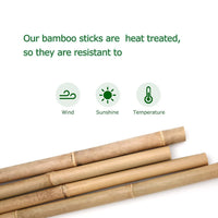Bamboo Pole/Plant Support Stake Stick Garden Stake