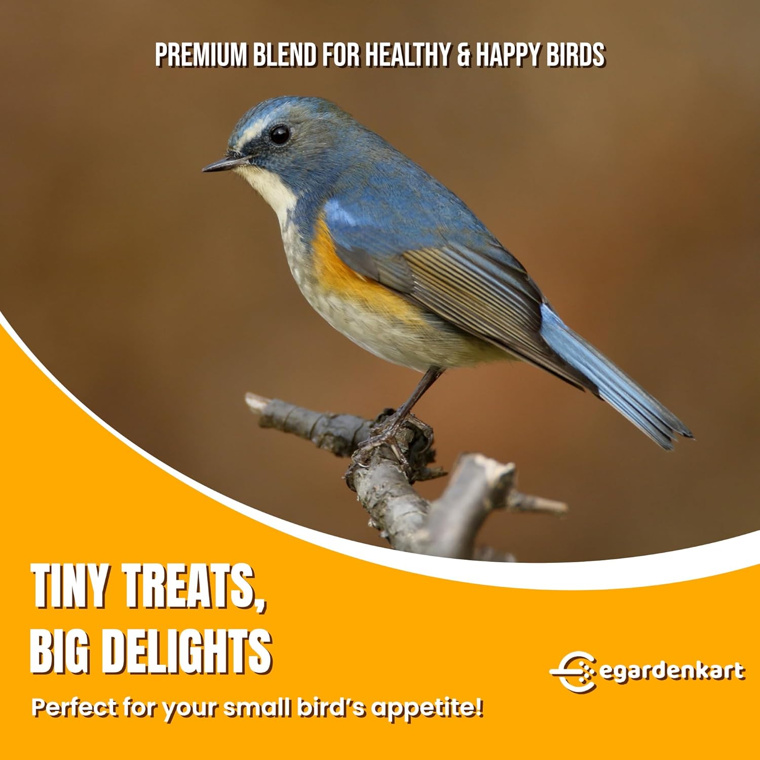 Egardenkart® Wild Bird Food - Economic Bird Seed Mix for All types of Wild Birds | Bird Feed for Dove Pigeon Myna Lark Bulbul Sparrow Hoopoe