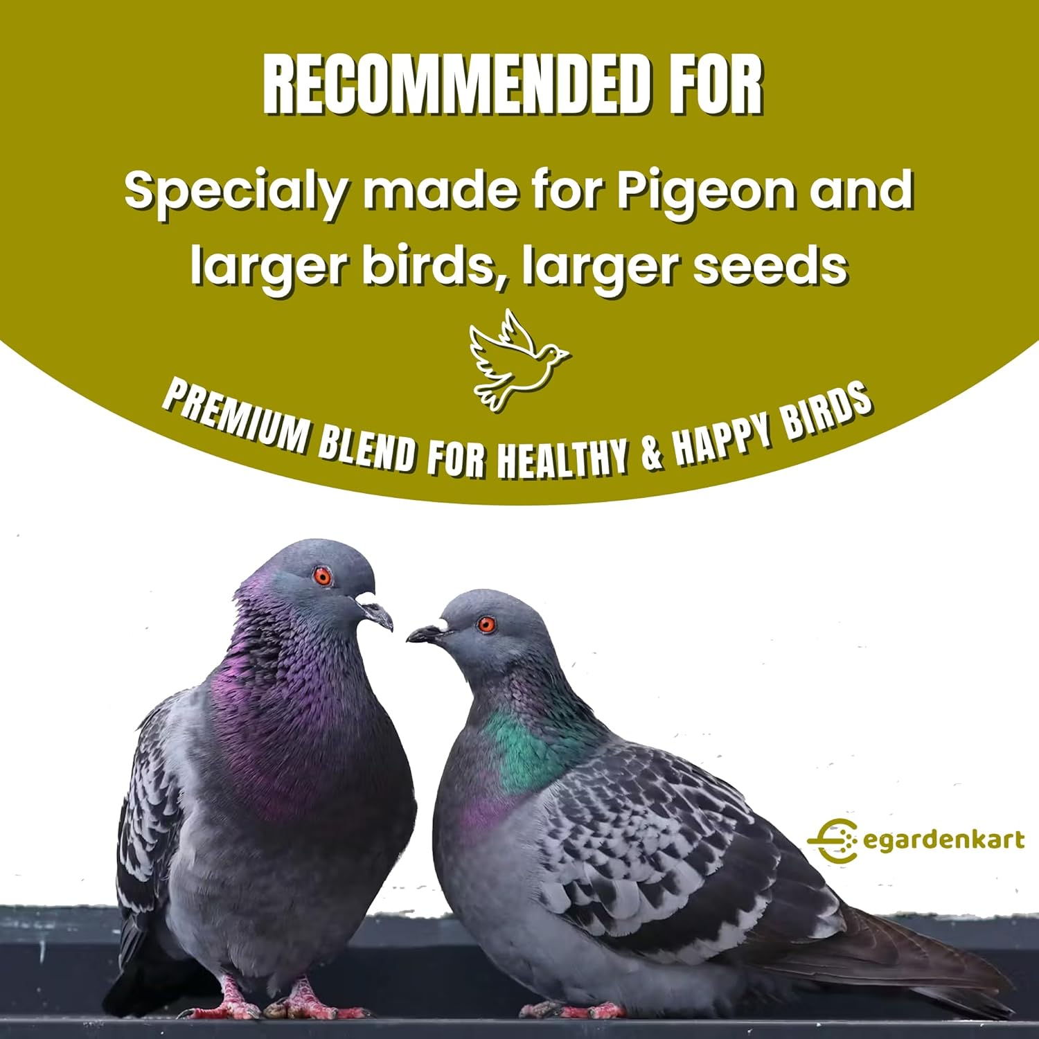Egardenkart Premium Pigeon Food For Domestic & Wild Pigeons Suitable for Large Birds