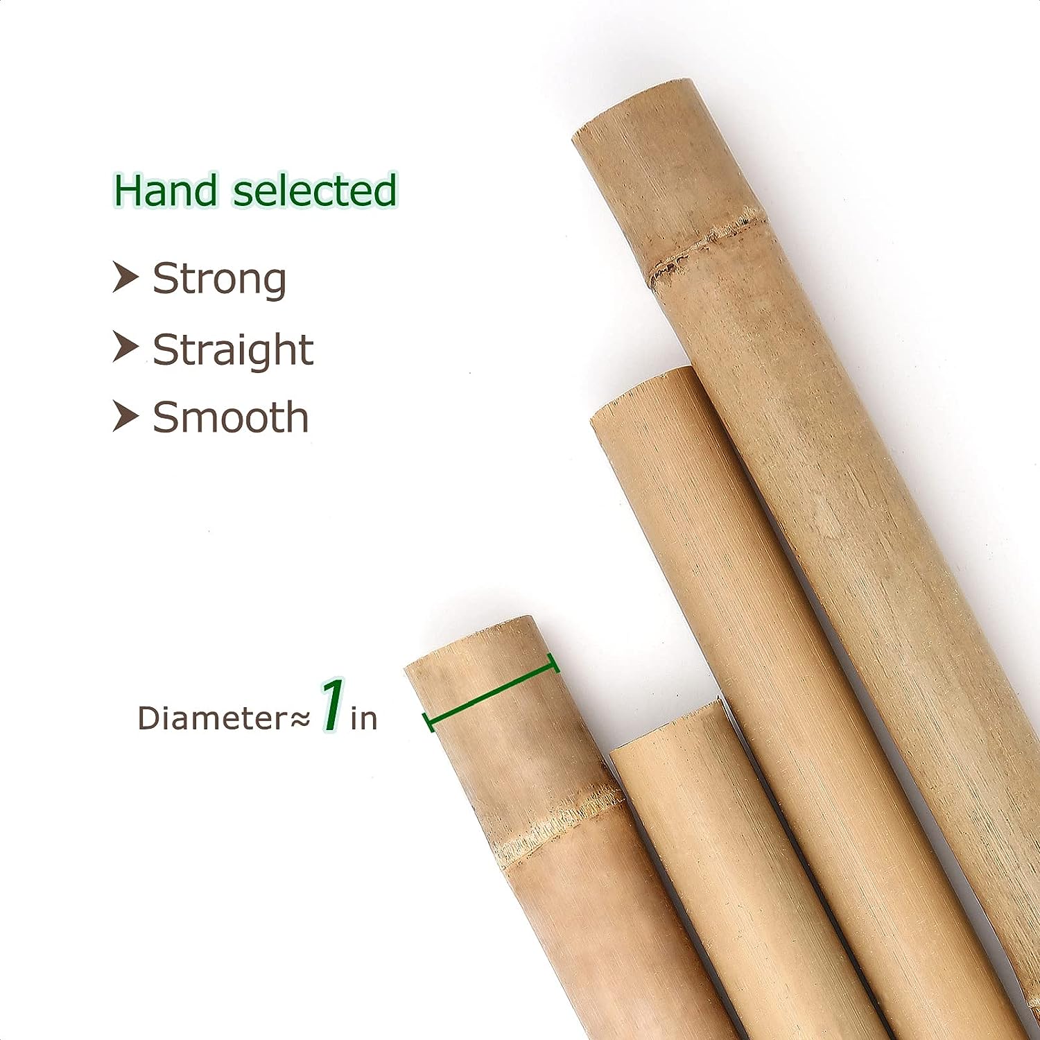 Bamboo Pole/Plant Support Stake Stick Garden Stake