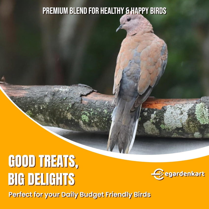 Egardenkart Daily Bird Food For Dove, Pigeon, Myna, Sparrow Bulbul, Lark & Hoopoe