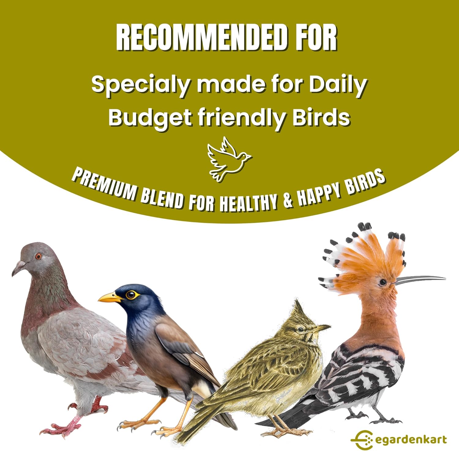 Egardenkart Daily Bird Food For Dove, Pigeon, Myna, Sparrow Bulbul, Lark & Hoopoe