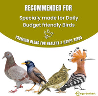 Egardenkart Daily Bird Food For Dove, Pigeon, Myna, Sparrow Bulbul, Lark & Hoopoe