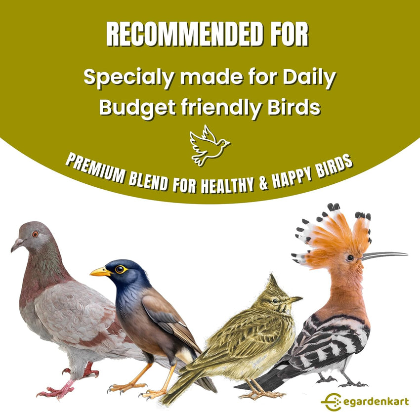 Egardenkart Daily Bird Food For Dove, Pigeon, Myna, Sparrow Bulbul, Lark & Hoopoe