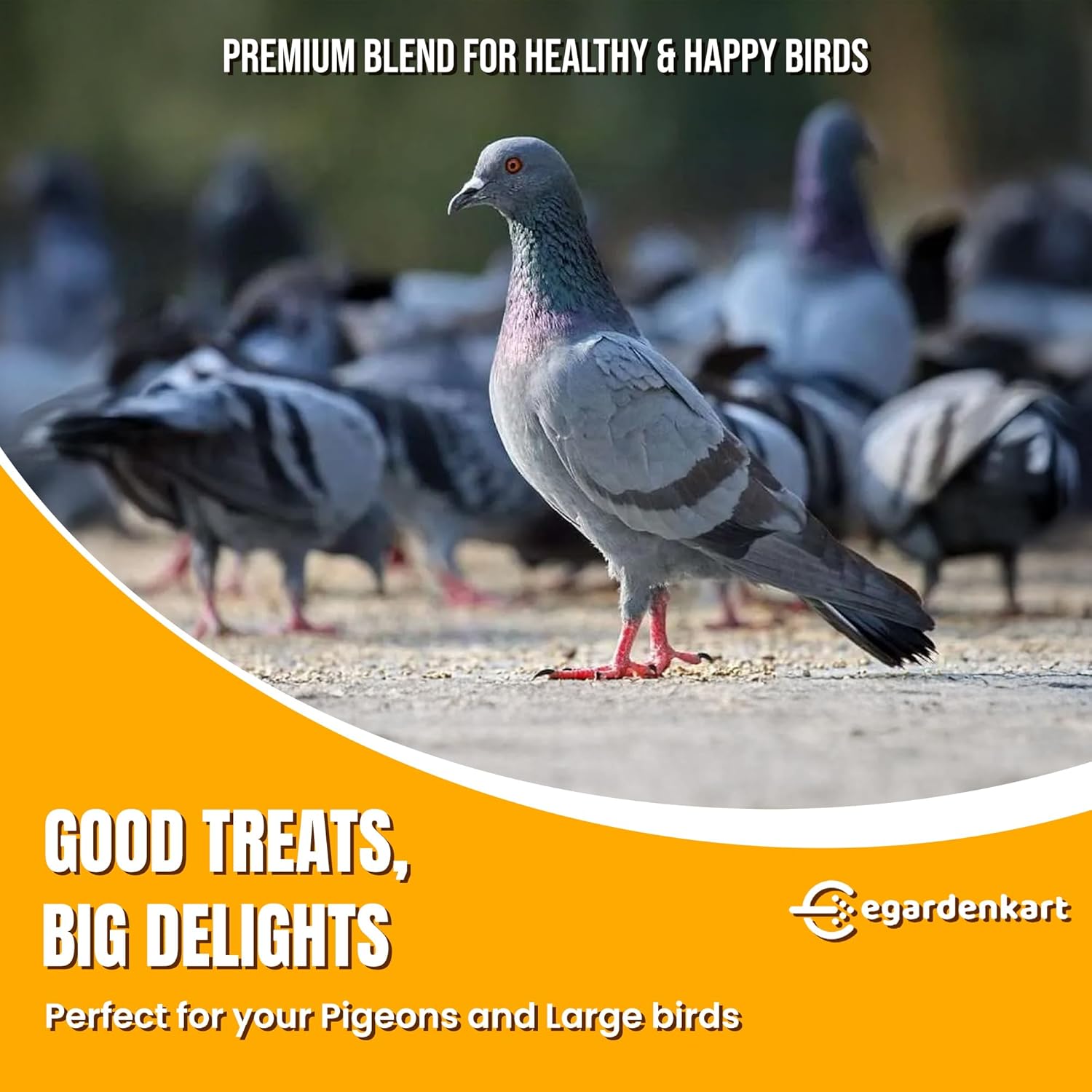 Egardenkart Premium Pigeon Food For Domestic & Wild Pigeons Suitable for Large Birds