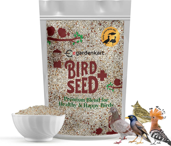 Egardenkart Daily Bird Food For Dove, Pigeon, Myna, Sparrow Bulbul, Lark & Hoopoe