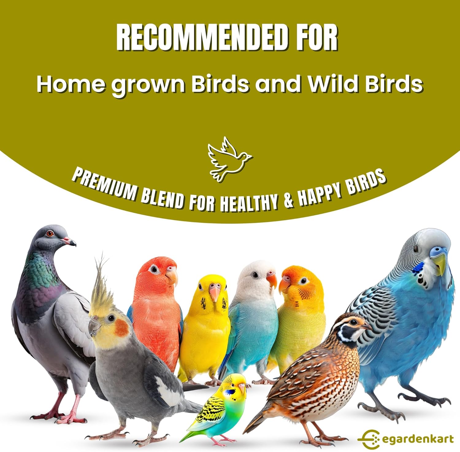 Egardenkart Small Bird Seed Mix For Budgies & Finches Suitable for Wild Birds