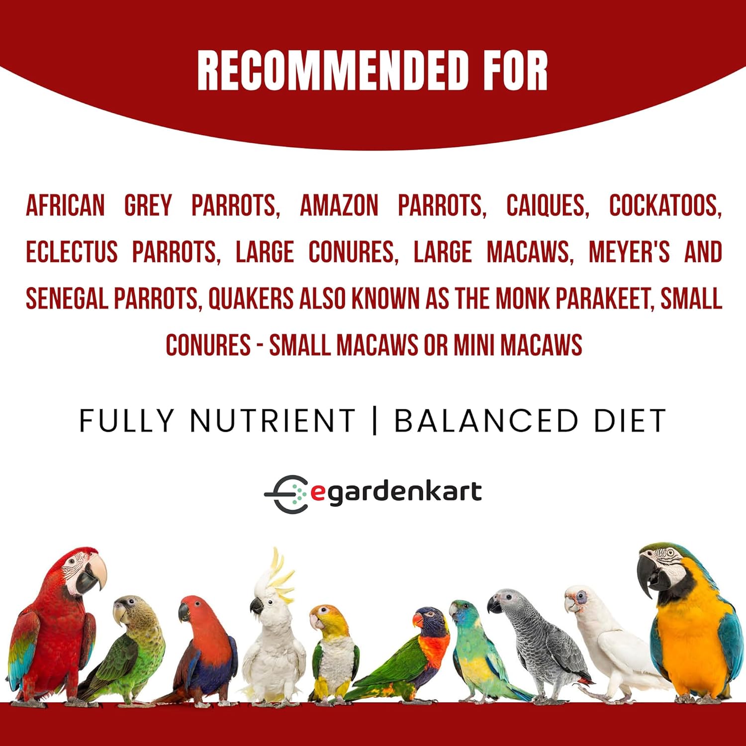 Egardenkart Parrot Bird Food - Enriching Blend for Health and Happiness