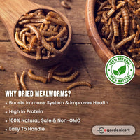 Egardenkart High-Protein Dried Mealworms - All Natural Treats for Birds, Chickens, Turtles, Fish, Hamsters, & Hedgehogs