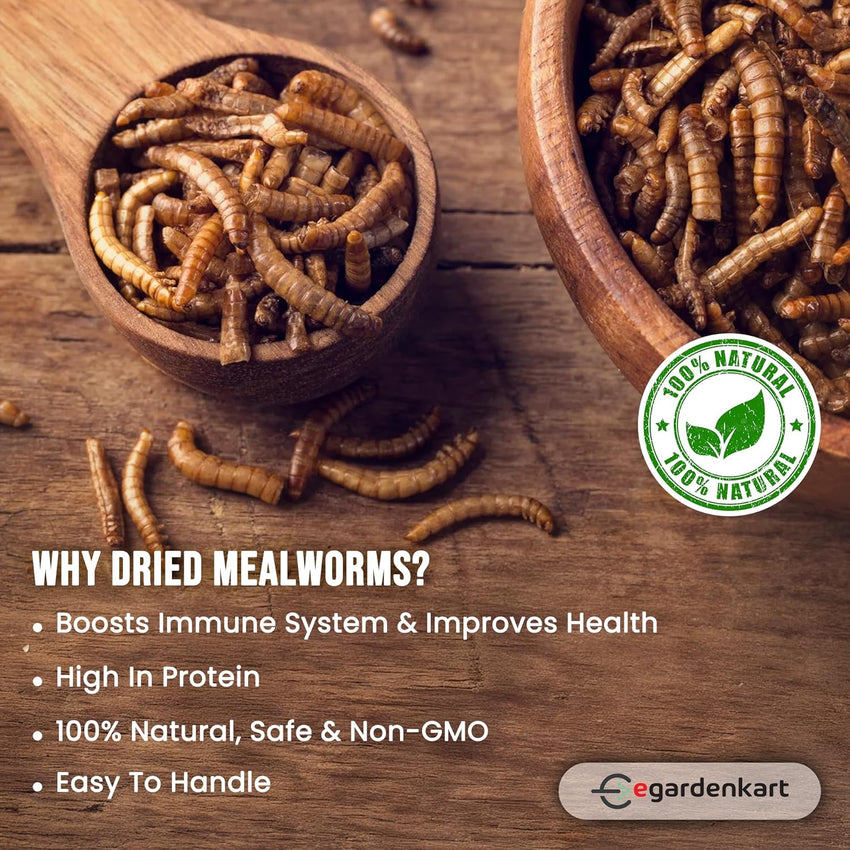 Egardenkart High-Protein Dried Mealworms - All Natural Treats for Birds, Chickens, Turtles, Fish, Hamsters, & Hedgehogs