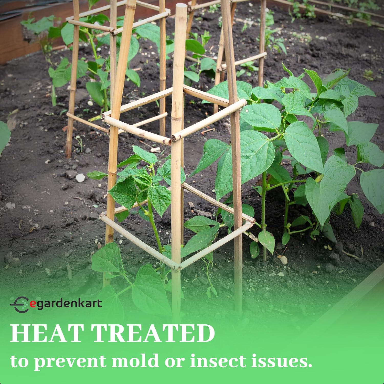 Egardenkart Bamboo Plant Stakes Strong Support for Plants Long-Lasting Garden Use