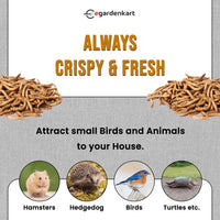 Egardenkart High-Protein Dried Mealworms - All Natural Treats for Birds, Chickens, Turtles, Fish, Hamsters, & Hedgehogs
