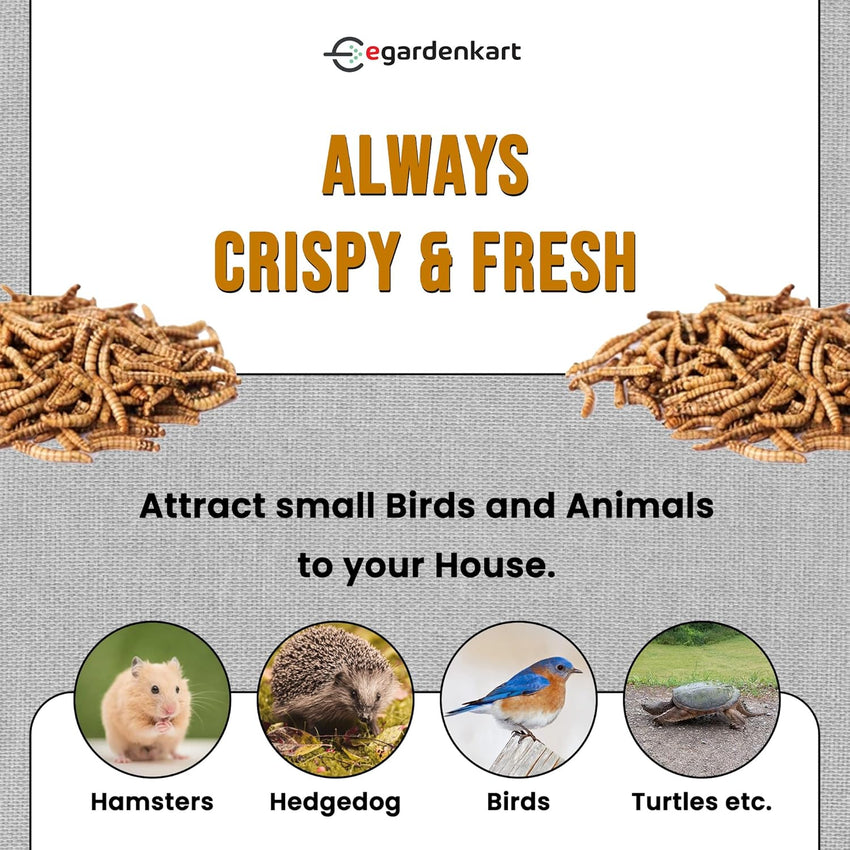 Egardenkart High-Protein Dried Mealworms - All Natural Treats for Birds, Chickens, Turtles, Fish, Hamsters, & Hedgehogs