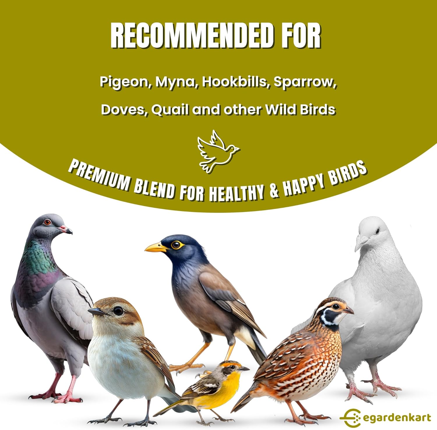 Egardenkart® Wild Bird Food - Economic Bird Seed Mix for All types of Wild Birds | Bird Feed for Dove Pigeon Myna Lark Bulbul Sparrow Hoopoe