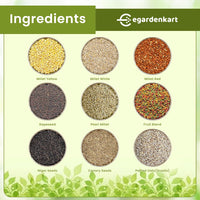 Premium Budgie Bird Food - Wholesome Blend for Health and Happiness