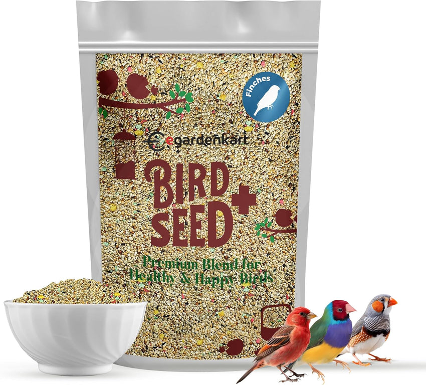 Premium Finch Bird Food - Nourishing Blend for Finches' Health and Vitality