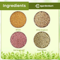 Egardenkart® Bird Food Daily Budget-Friendly - Wild Bird Feed for all Types of Wild Birds | Birds Food for Small Birds Dove Pigeon Myna Lark Bulbul Sparrow Hoopoe Seed Mix