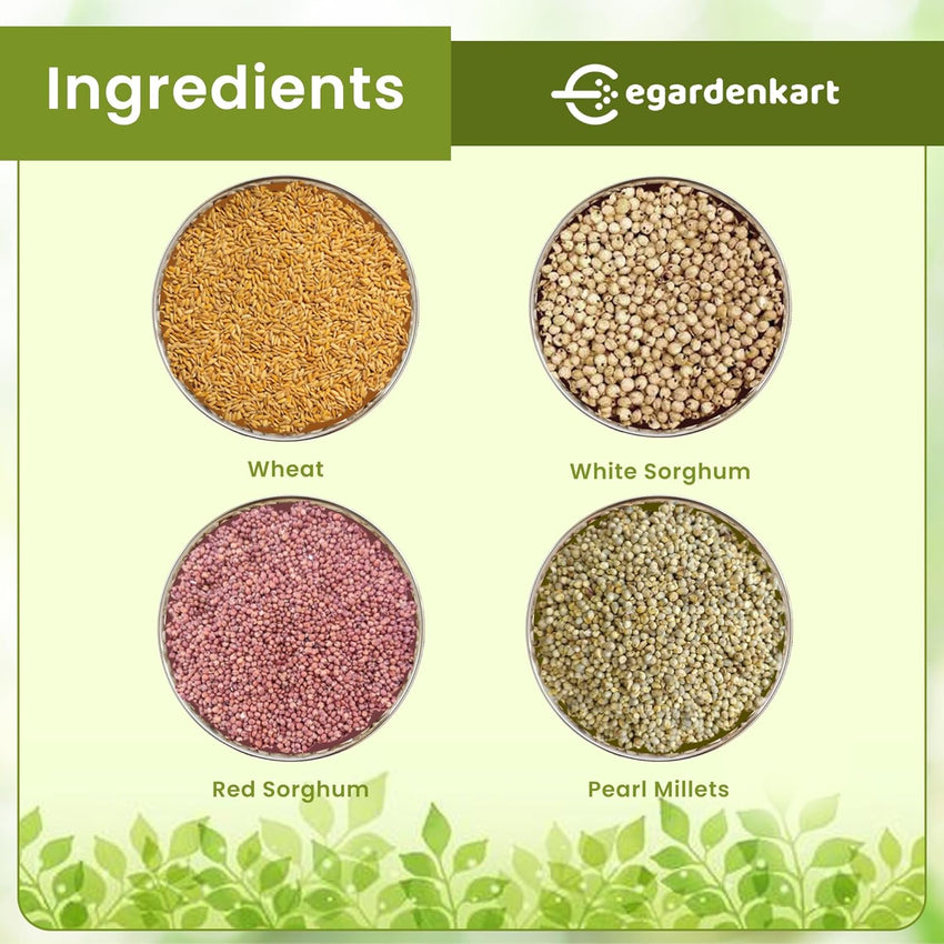 Egardenkart® Bird Food Daily Budget-Friendly - Wild Bird Feed for all Types of Wild Birds | Birds Food for Small Birds Dove Pigeon Myna Lark Bulbul Sparrow Hoopoe Seed Mix
