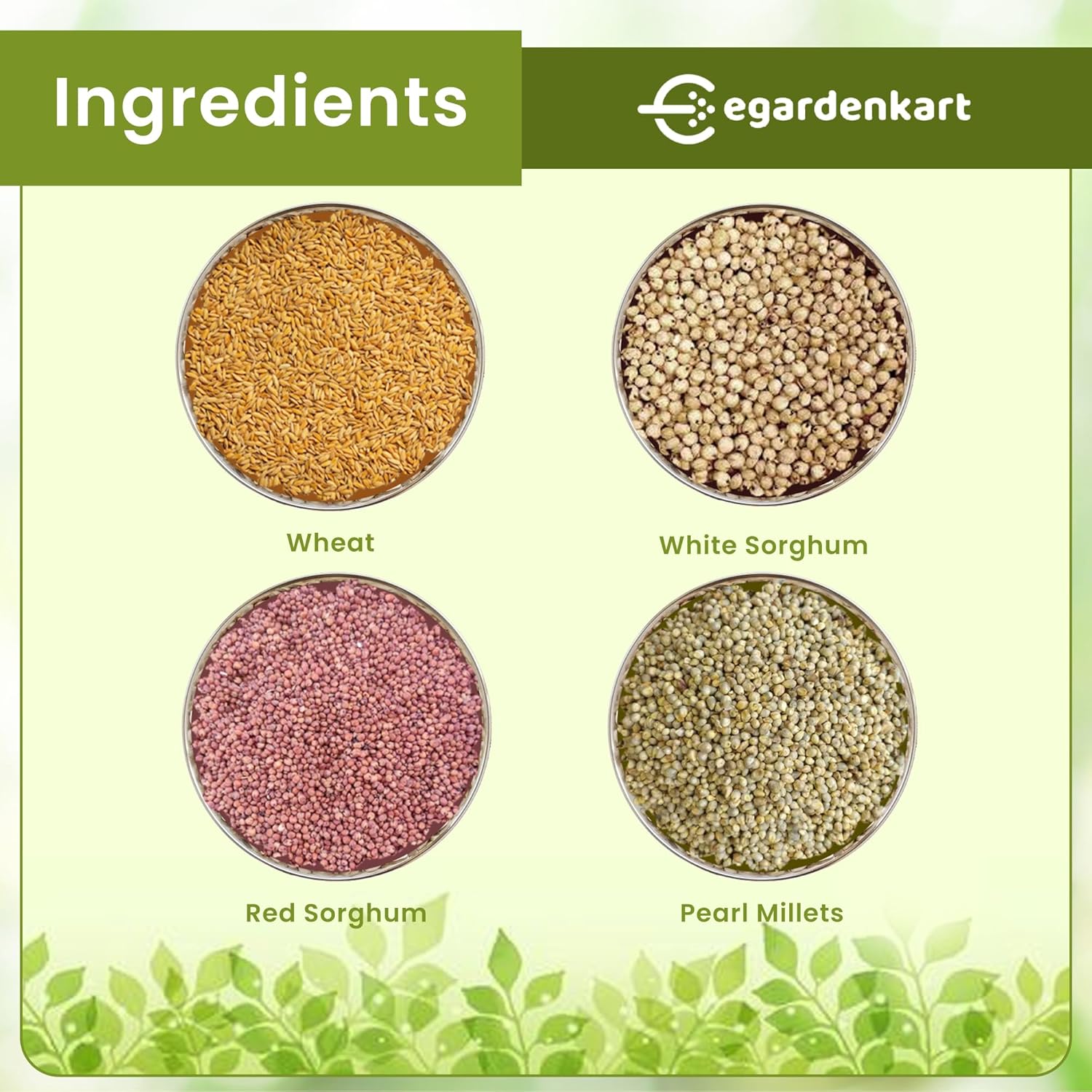 Egardenkart Daily Bird Food For Dove, Pigeon, Myna, Sparrow Bulbul, Lark & Hoopoe