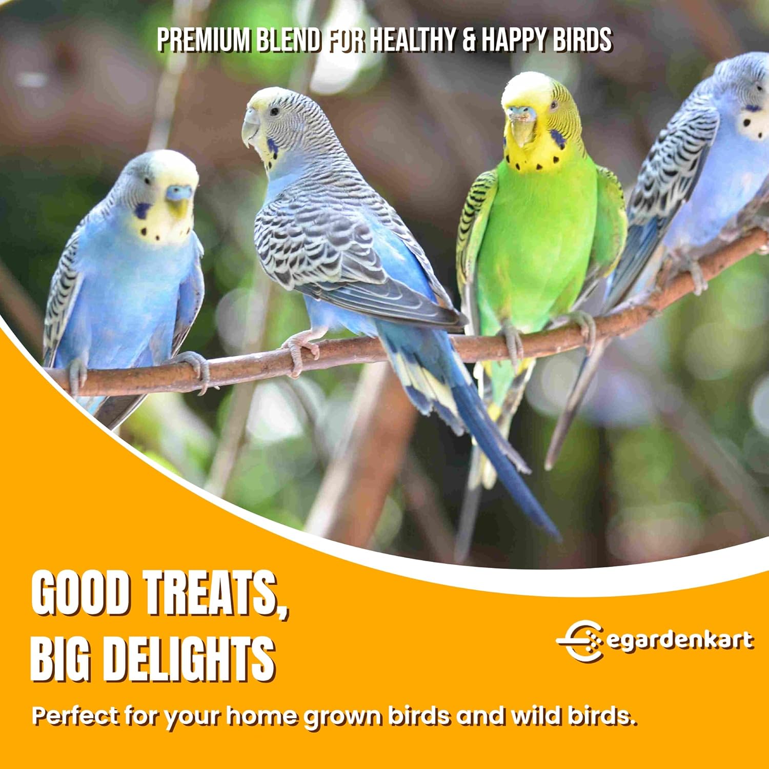 Egardenkart Small Bird Seed Mix For Budgies & Finches Suitable for Wild Birds