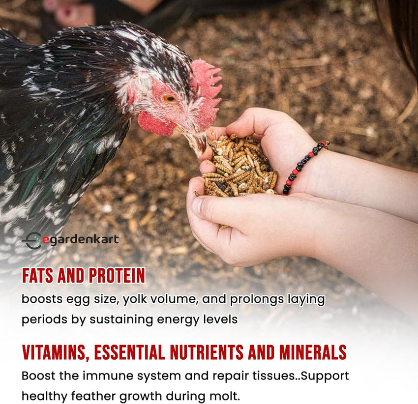 Egardenkart High-Protein Dried Mealworms - All Natural Treats for Birds, Chickens, Turtles, Fish, Hamsters, & Hedgehogs