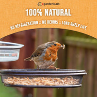 Egardenkart High-Protein Dried Mealworms - All Natural Treats for Birds, Chickens, Turtles, Fish, Hamsters, & Hedgehogs