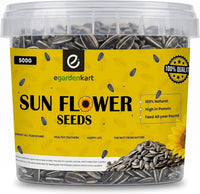 Egardenkart Sunflower Seeds for Birds - Premium Bird Food for Parrots, Cockatiels, Lovebirds, Finches & Wild Birds | Natural Protein-Rich Bird Seeds for Healthy Birds