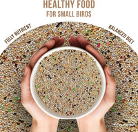 Premium Budgie Bird Food - Wholesome Blend for Health and Happiness