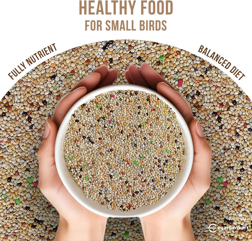 Premium Budgie Bird Food - Wholesome Blend for Health and Happiness