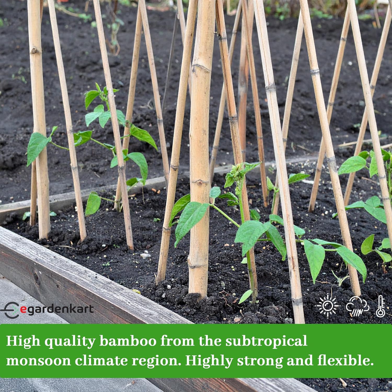 Egardenkart Bamboo Plant Stakes Strong Support for Plants Long-Lasting Garden Use