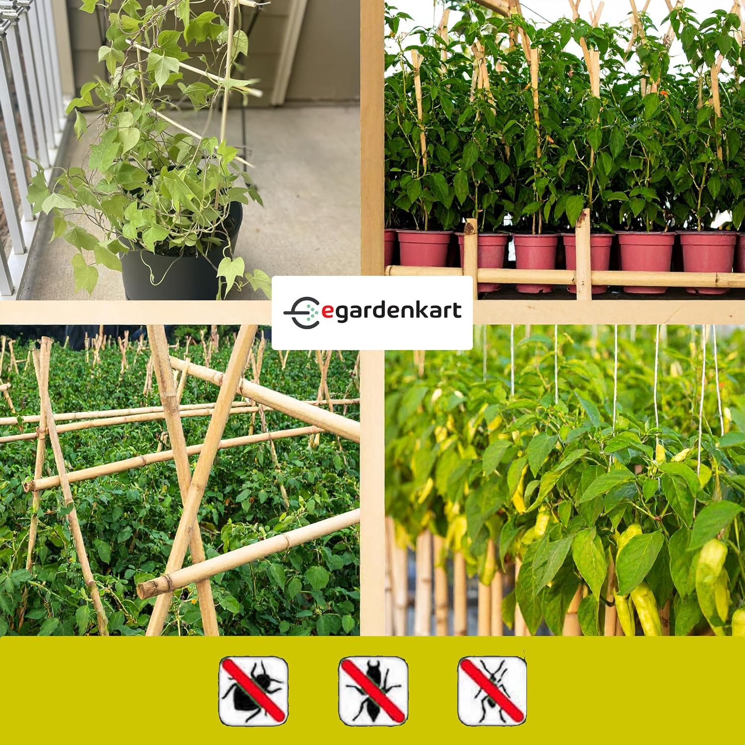 Egardenkart Bamboo Plant Stakes Strong Support for Plants Long-Lasting Garden Use