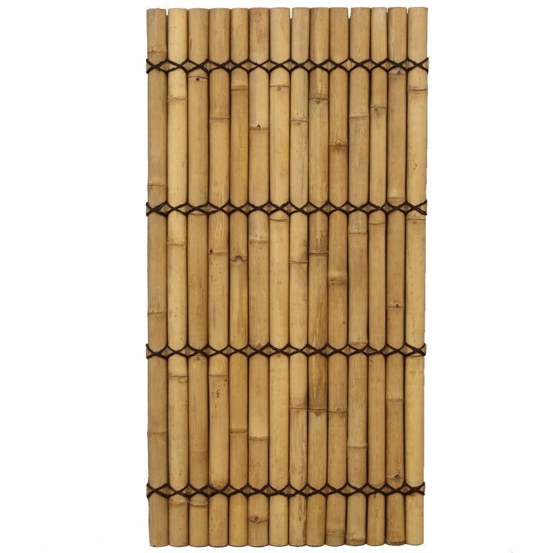 200x100