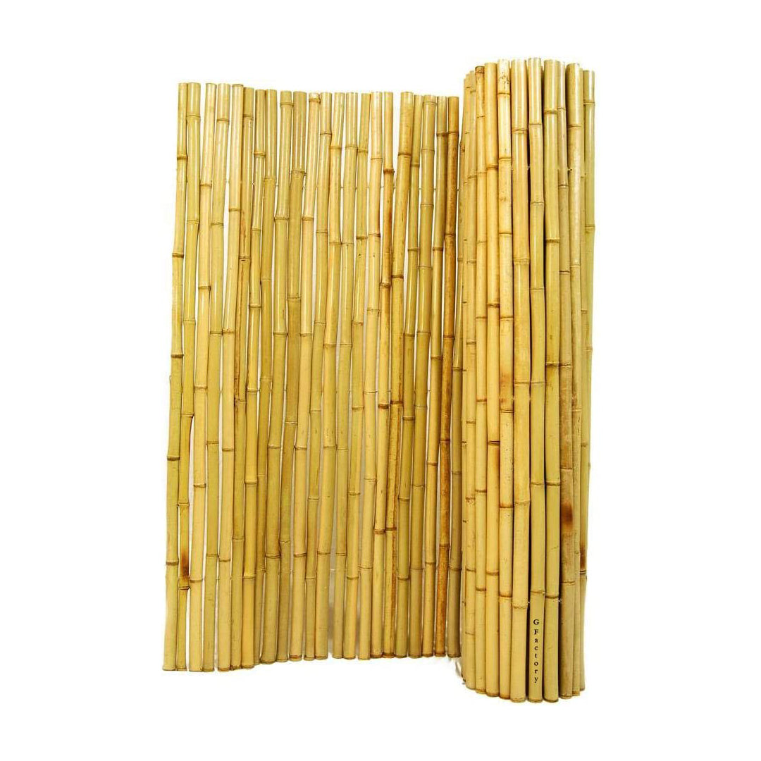 250cm x 300cm