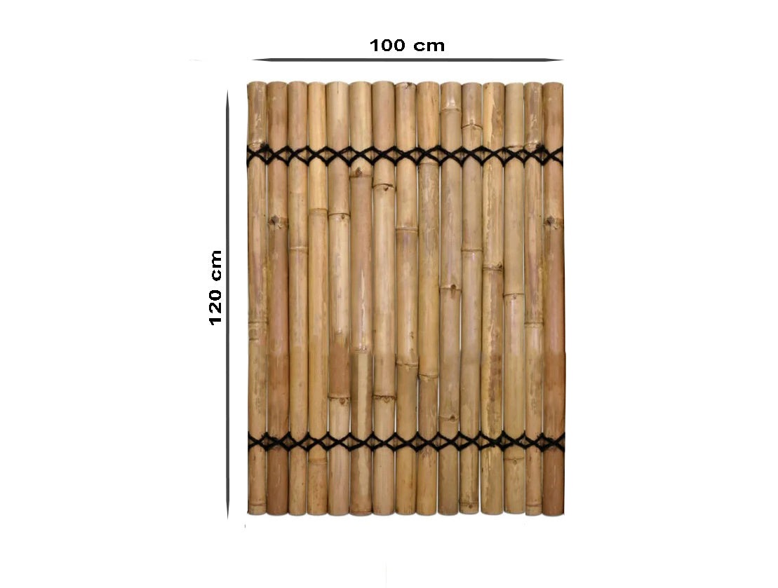 120x100