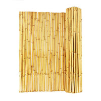 150cm x 300cm