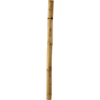Bamboo Pole/Plant Support Stake Stick Garden Stake