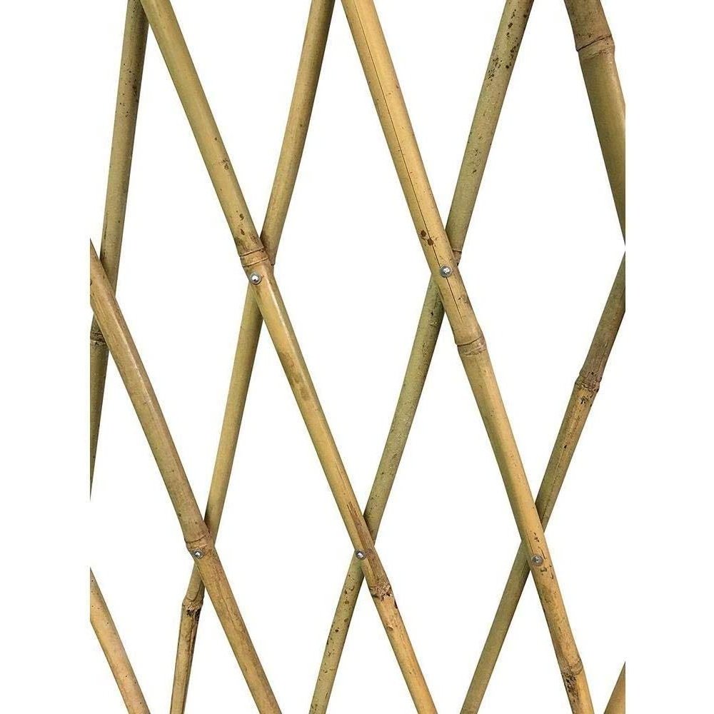 Bamboo Trellis