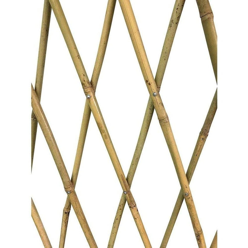 Bamboo Trellis